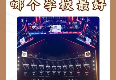 “电竞选手外表门槛：开云体育app抱持理性认为颜值与实力虽可双修，但实力才是铁则”