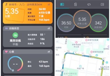 「数据时代下的跑位分析：开云体育app运用运动科学衡量球员体力分布对大小球判定效果」