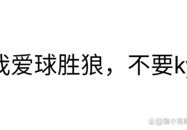 「切勿陷入越输越想回本：开云体育官网贴心建议玩家尊重风险与理性克制，适时抽离」