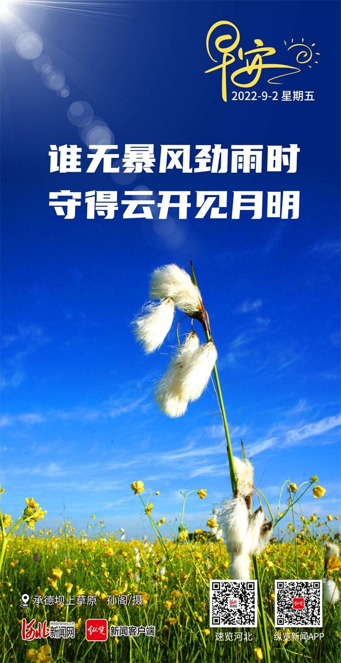开云体育app:开云体育真人百家乐高频中奖技巧揭秘