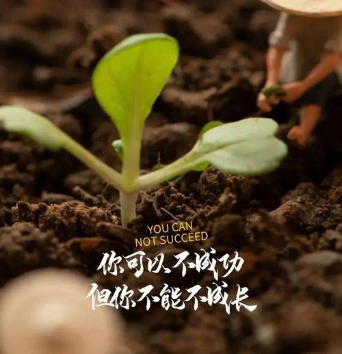 开云体育app:开云体育真人百家乐新上线,玩家热议高频中奖