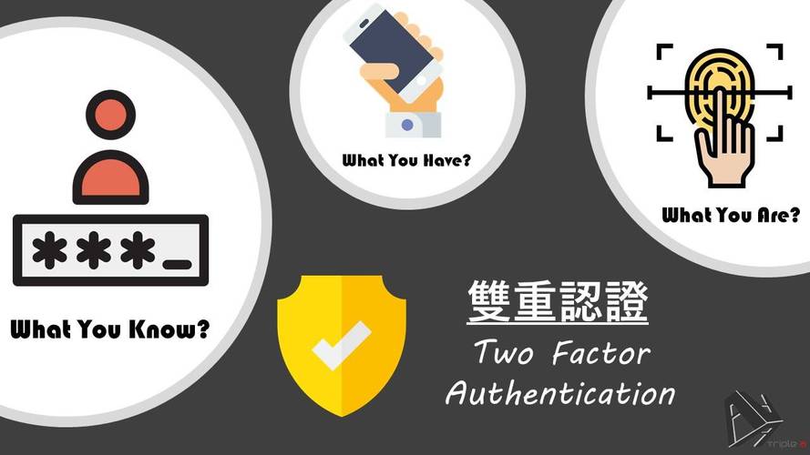 开云体育app:AG真人内新增开云体育赛事直播入口