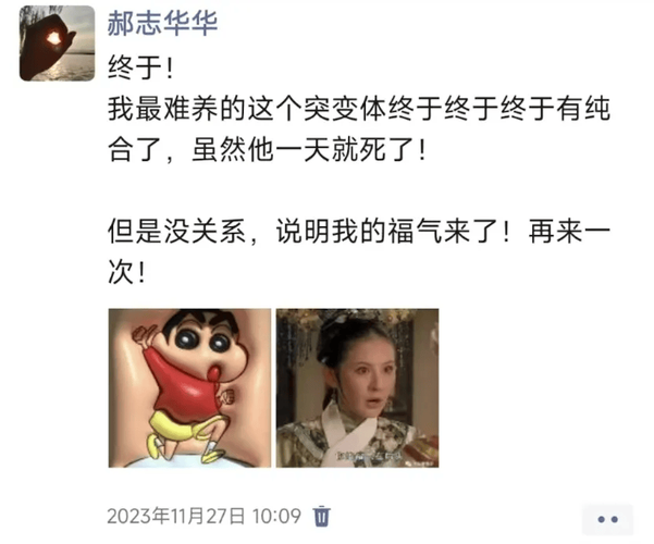 开云体育app报道:真人百家乐比赛场次激增,玩家热情高涨