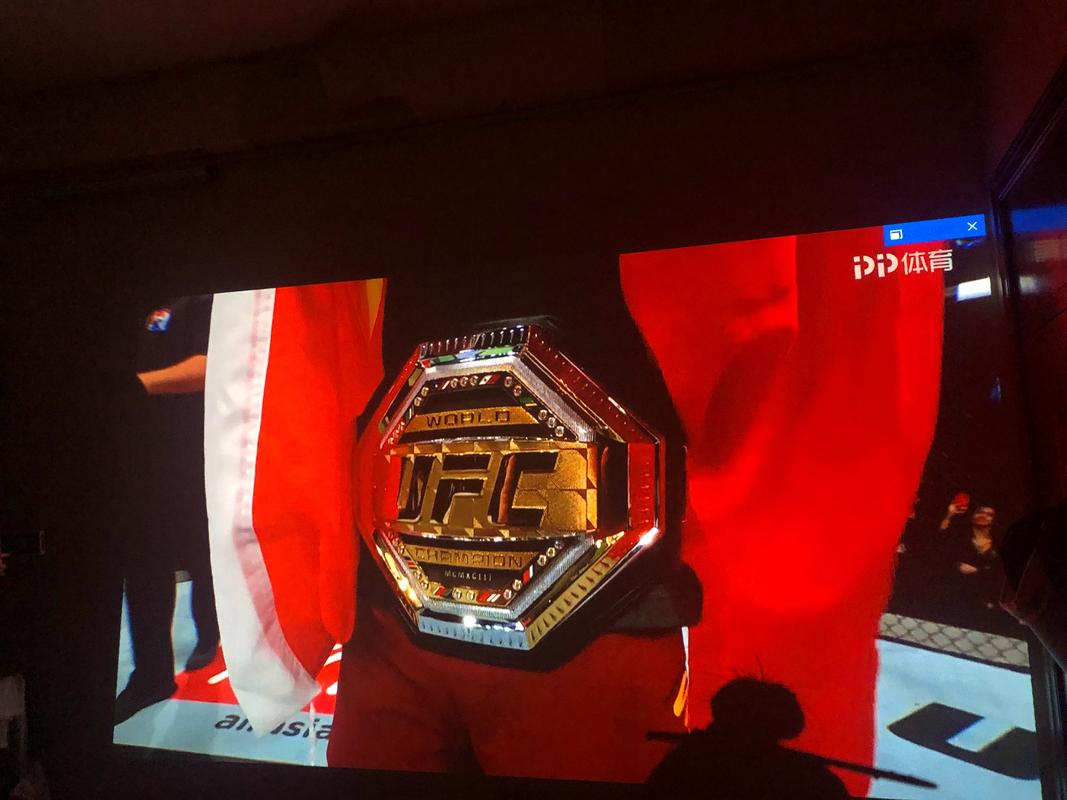 「开云体育官网聚焦UFC推广海外站:从欧洲到亚太,跨文化传播与大范围招募选手」